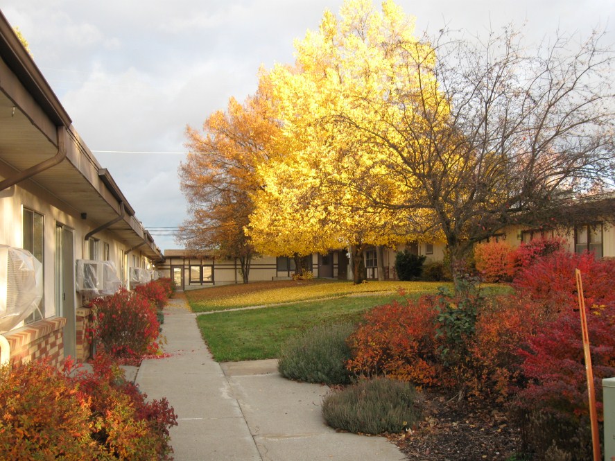 Palouse Country Assisted Living